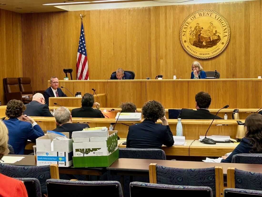 Supporters, opponents of Pleasants Power plan make case to W.Va. PSC | News, Sports, Jobs - Vimarsana News
